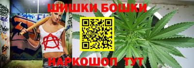 индика Краснознаменск