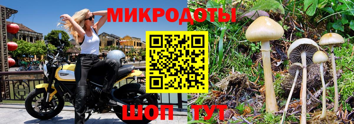Каменск-Уральский  где продают   Псилоцибиновые грибы Cubensis  Вход с VPN  Галлюциногенные грибы мицелий 
